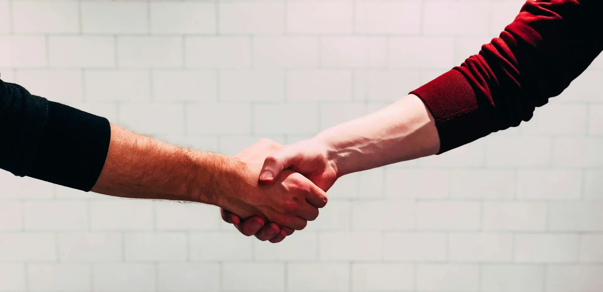 two person shaking hands near white painted wall